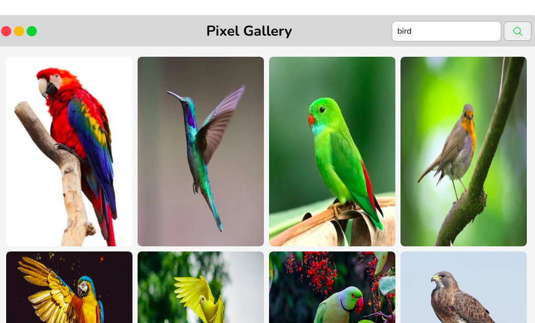 Image Gallery